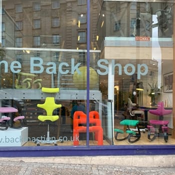 Ergonomic Back Pain Solutions at Home and at Work - Back in Action