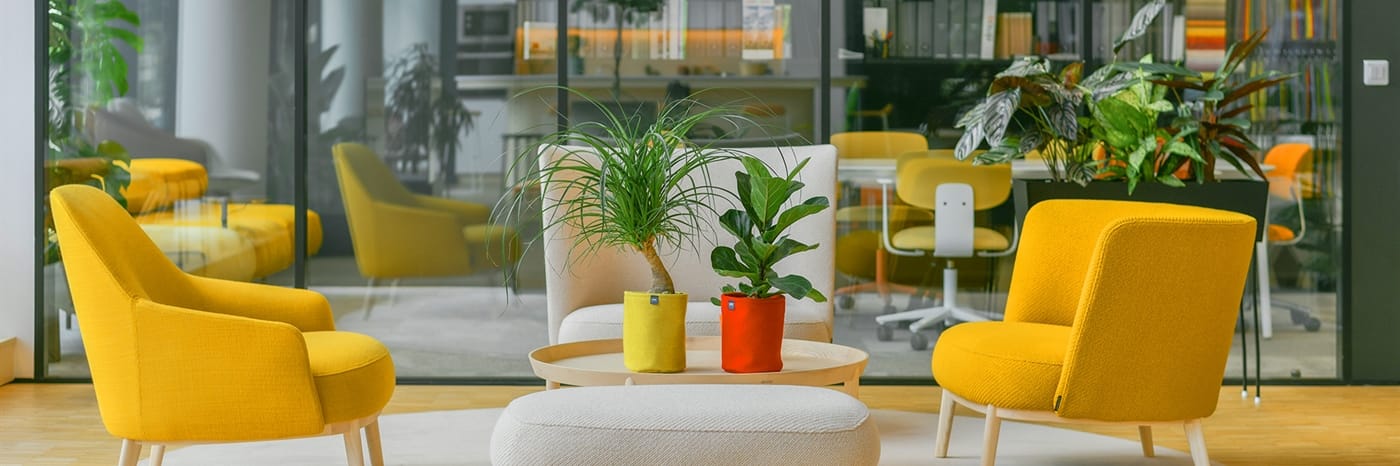 Office Design and Space - Back in Action