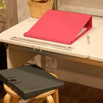 Ergonomic Work Accessories - Back in Action