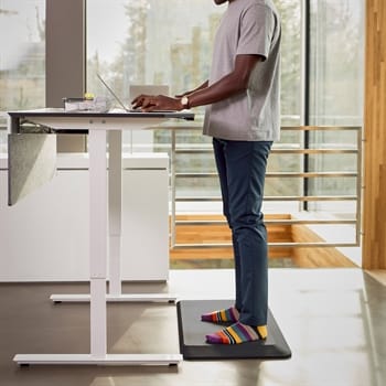Ergonomic Work Accessories - Back in Action